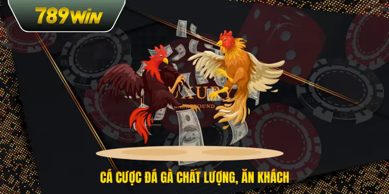 Cá cược đá gà chất lượng, ăn khách